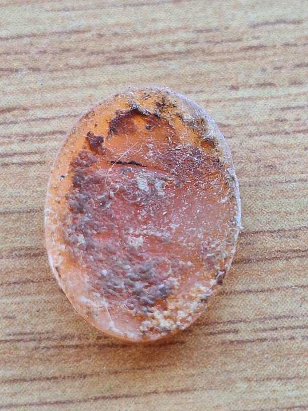 Tiny Cameo unmounted 1.5 x 1cm