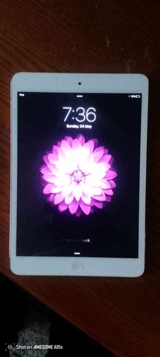 iPad mini A1432