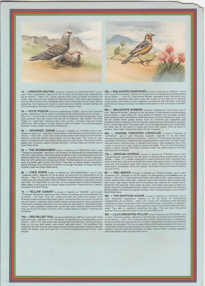 Lesotho Birds Definitives Folder as scan Note nibbled corner so selling as used stamps