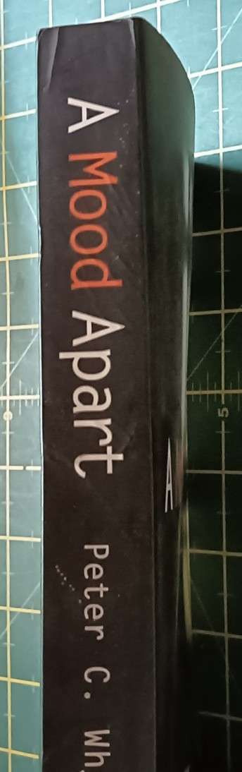 A Mood Apart - Peter C. Whybrow - Softcover - 363 pages