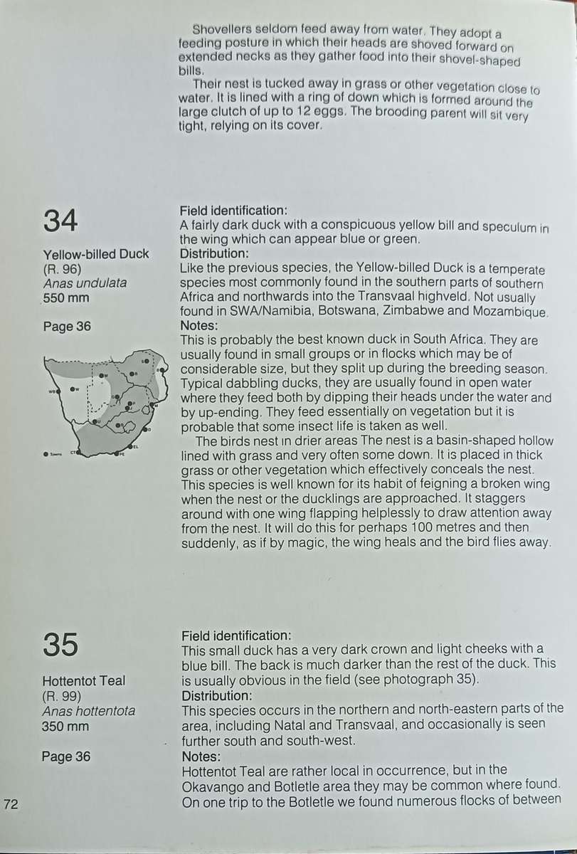 Waterbirds of Southern Africa - Peter Ginn & Geoff McIlleron - Hardcover - 143 pages