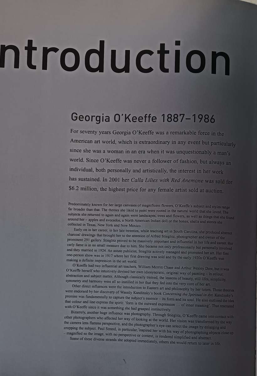 Georgia O'Keeffe - An American Perspective - Lauris Morgan-Griffiths - Hardcover - 175 pages