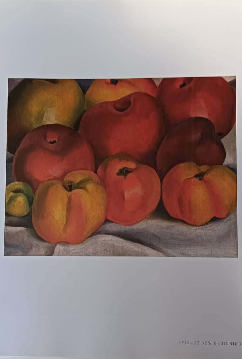 Georgia O'Keeffe - An American Perspective - Lauris Morgan-Griffiths - Hardcover - 175 pages