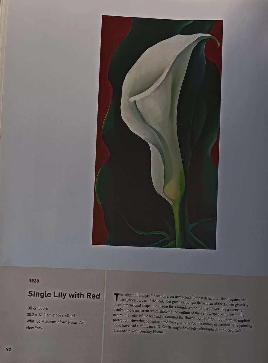 Georgia O'Keeffe - An American Perspective - Lauris Morgan-Griffiths - Hardcover - 175 pages