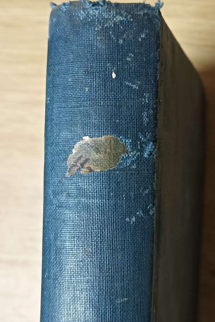 Life of Victor Hugo - Frank T Marzials (1888) - Hardcover - 217 pages