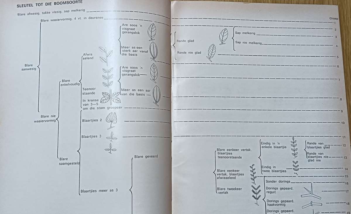 Ses en Sestig Transvaalse Bome - Softcover - 175 pages