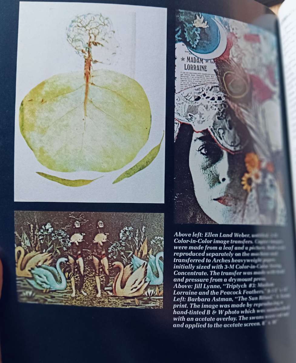 Alternative Photographic Processes - Kent E Wade - Softcover - 179 pages