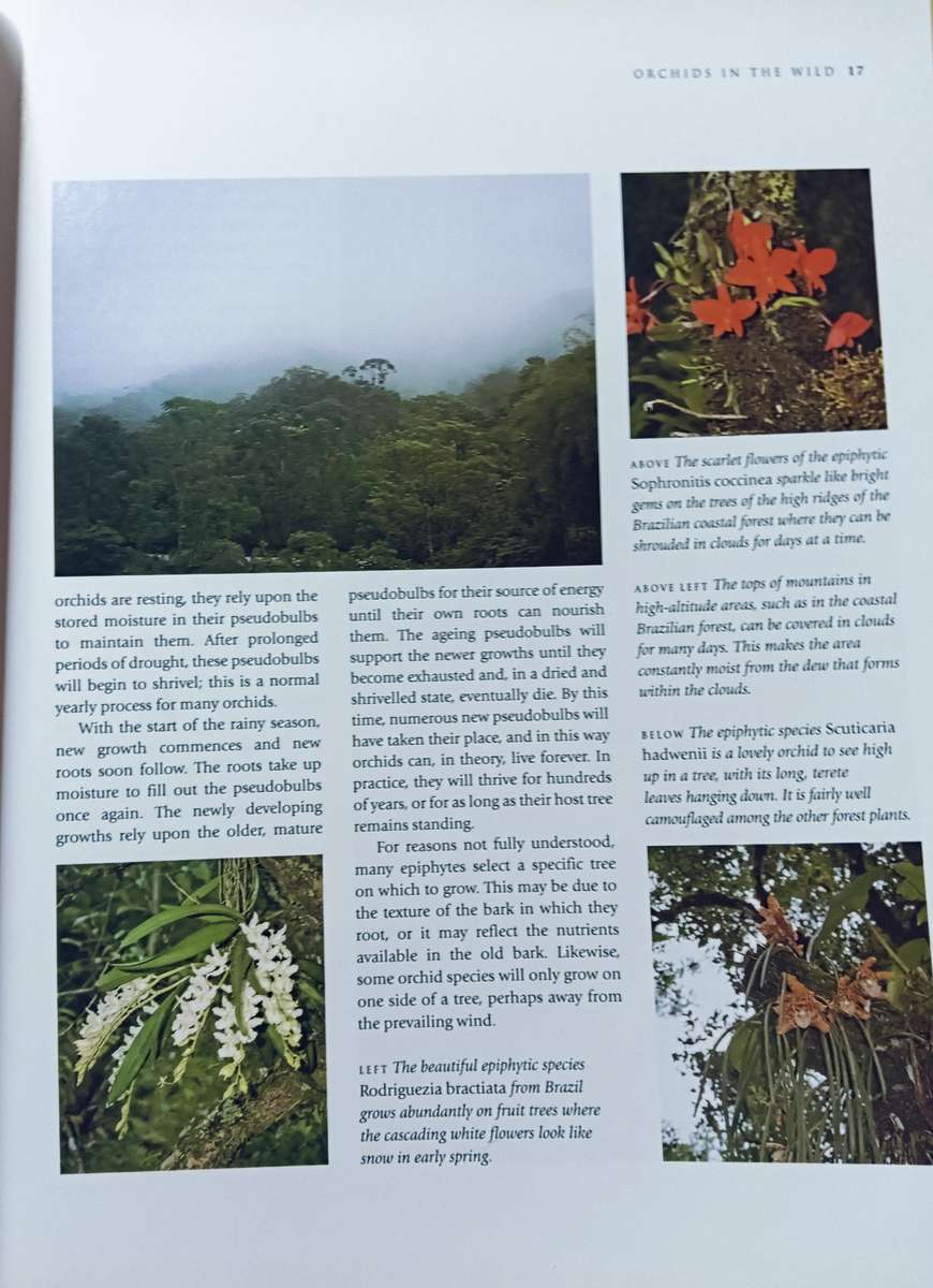 The Practical Encyclopedia of Orchids - A Guide to Orchids and their Cultiva - Softcover - 256 pages