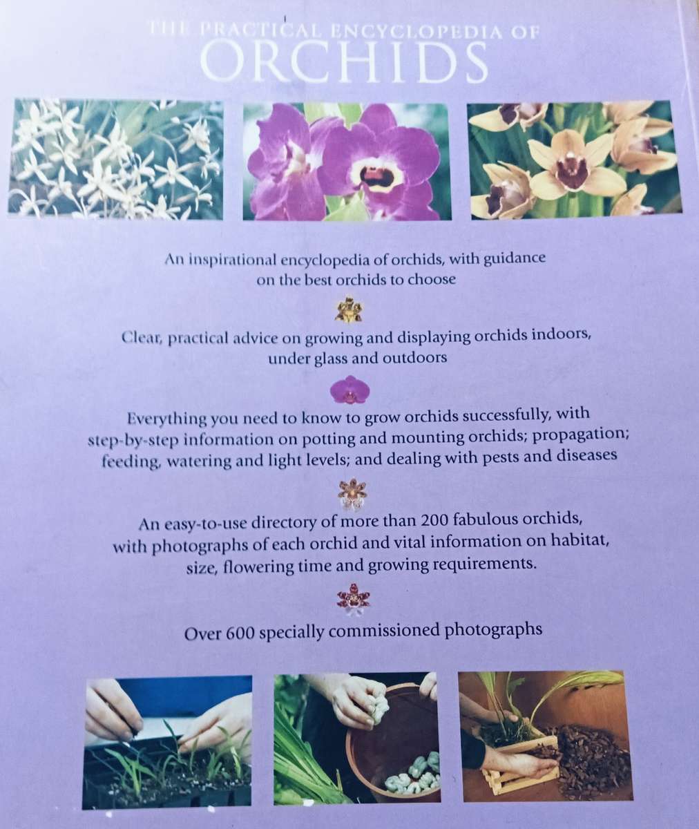 The Practical Encyclopedia of Orchids - A Guide to Orchids and their Cultiva - Softcover - 256 pages