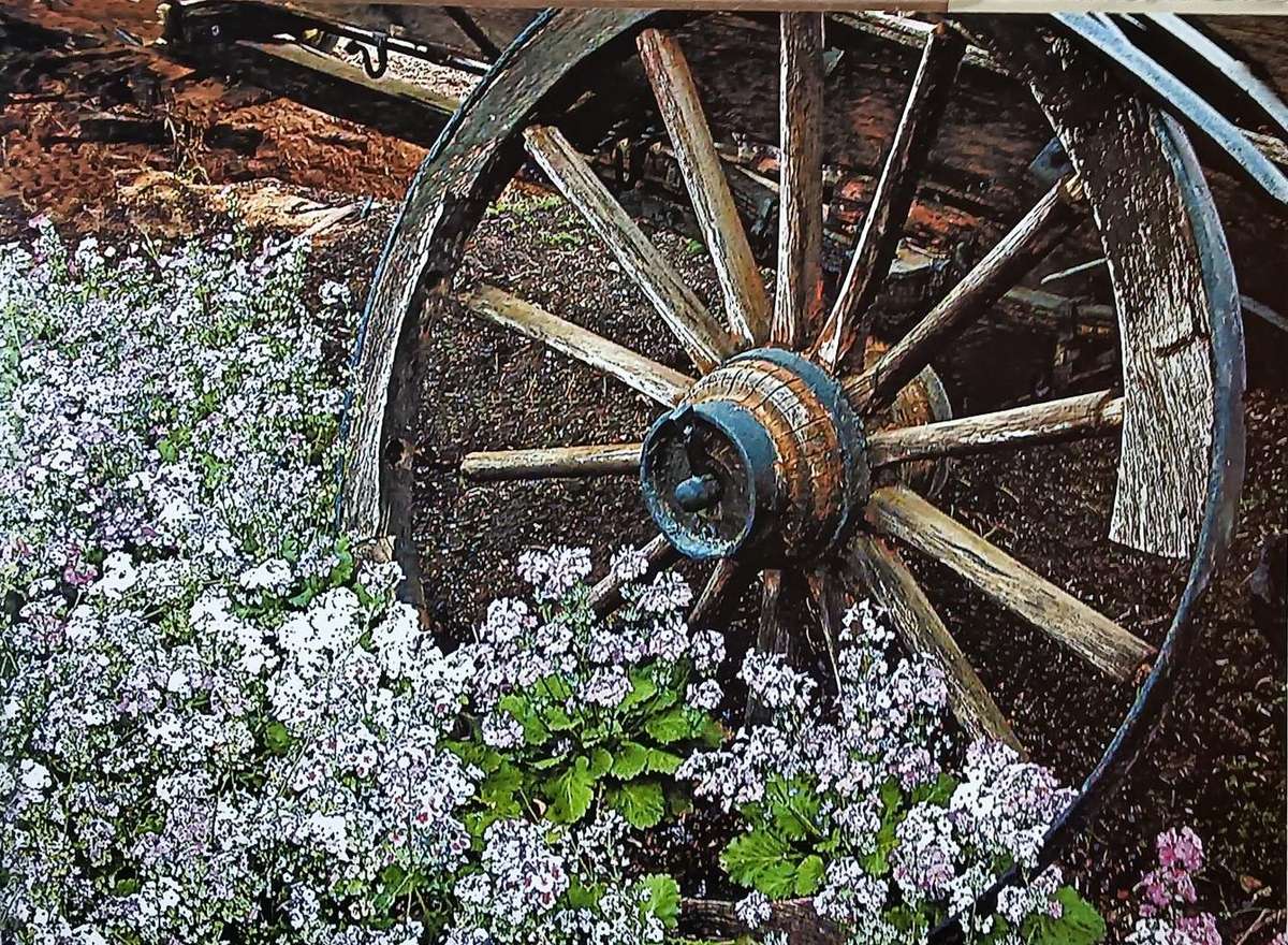 A Hatful of Memories - Johann Coetzee & Sydney Hirschowitz - Hardcover - 149 pages