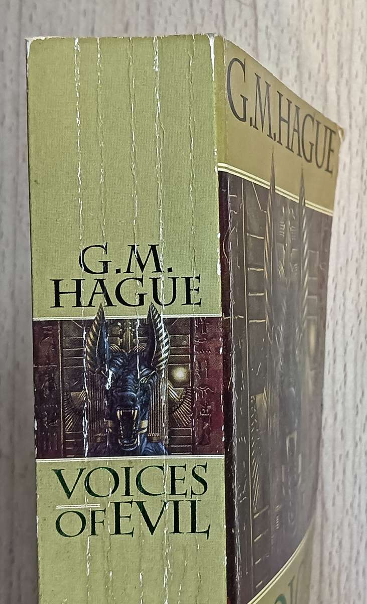 Voices of Evil - C.M. Hague - Softcover - 611 pages