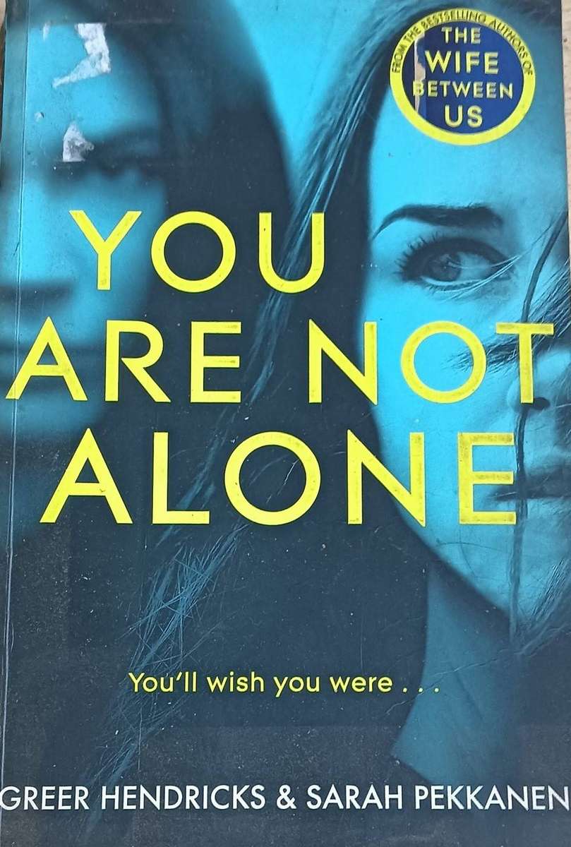 You are not Alone - Greer Hendricks & Sarah Pekkaknen - Softcover - 343 pages