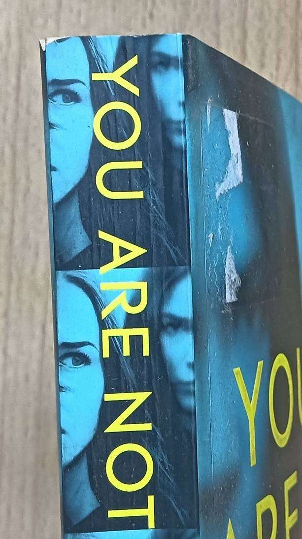 You are not Alone - Greer Hendricks & Sarah Pekkaknen - Softcover - 343 pages