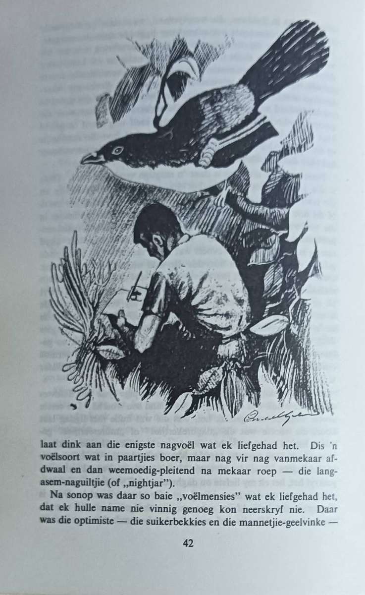 Uit die Dagboek van ŉ Wildbewaarder - P.J. Schoeman - Vierde druk 1971  - Hardcover - 179 pages