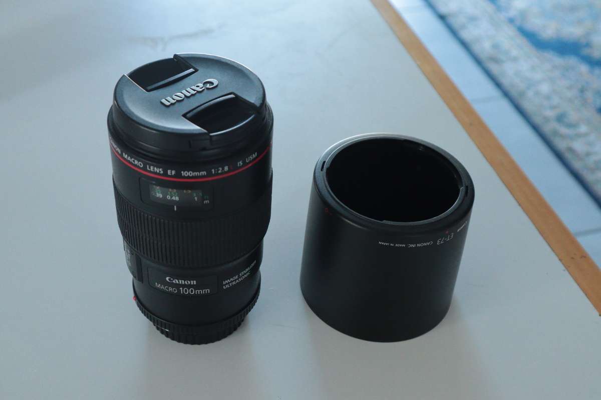 Canon EF 100mm f/2.8 L MACRO IS USM Lens