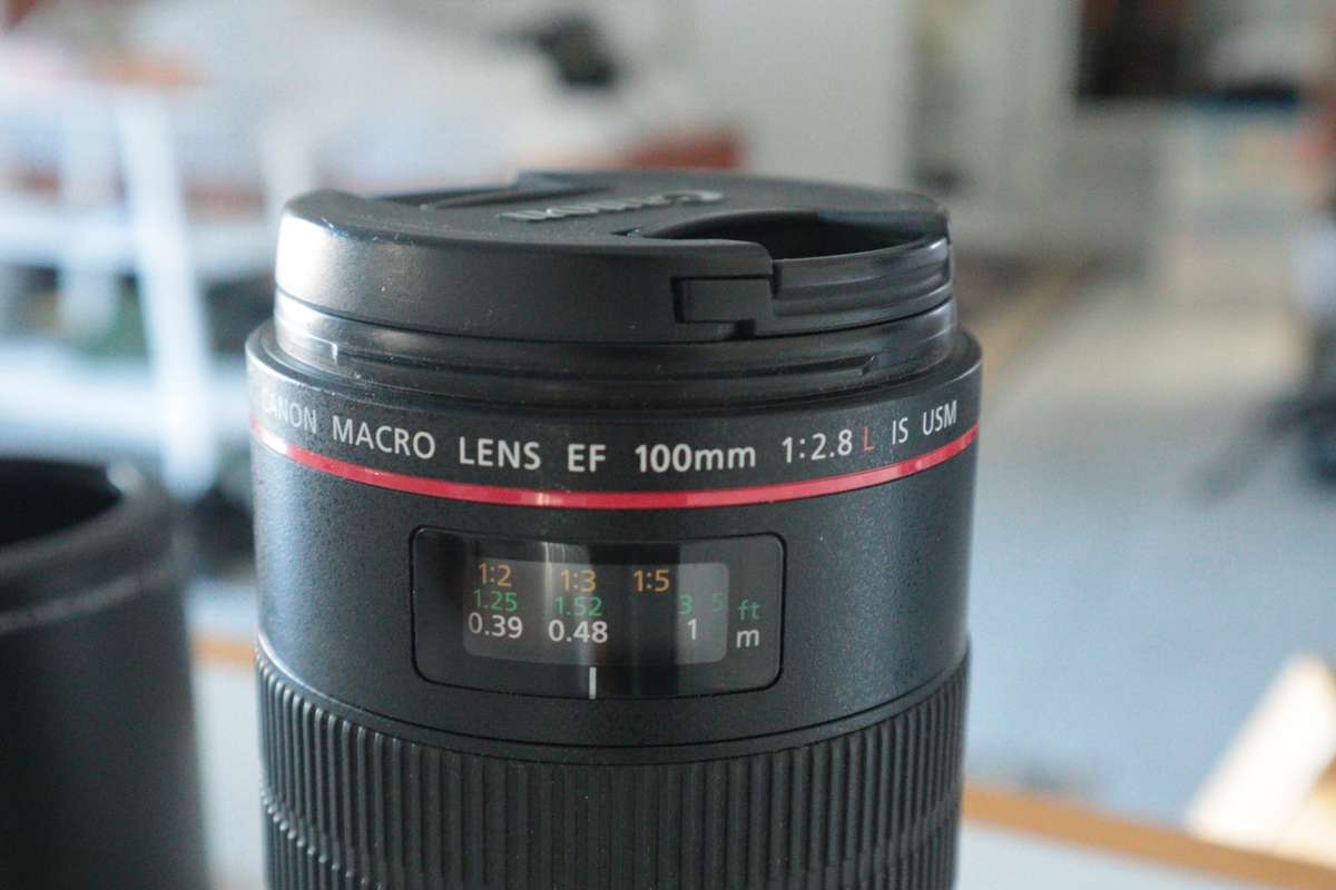 Canon EF 100mm f/2.8 L MACRO IS USM Lens