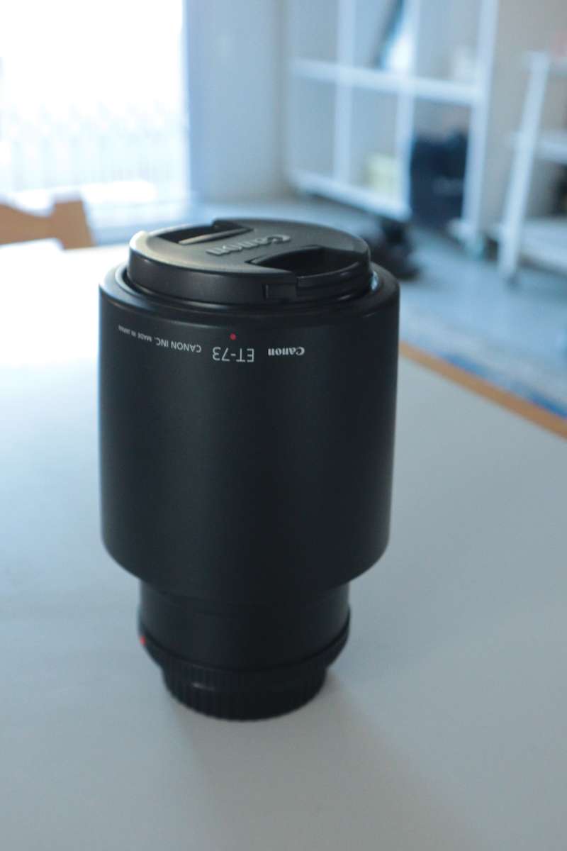 Canon EF 100mm f/2.8 L MACRO IS USM Lens