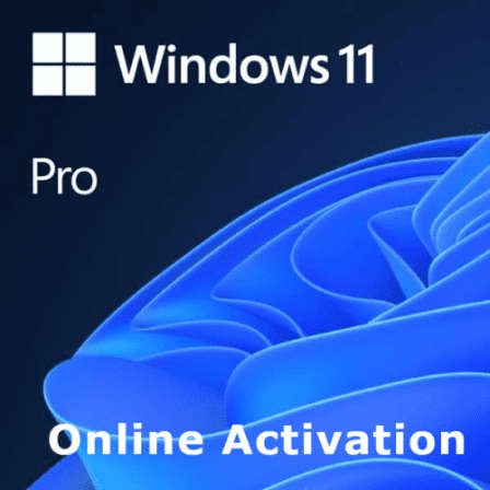 Windows 11 Professional (Min 2x)