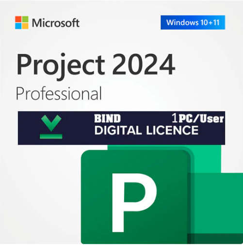 Microsoft Project 2024 Professional