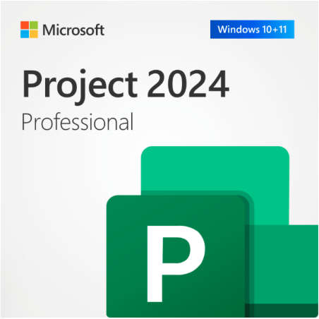 Microsoft Project 2024 Professional