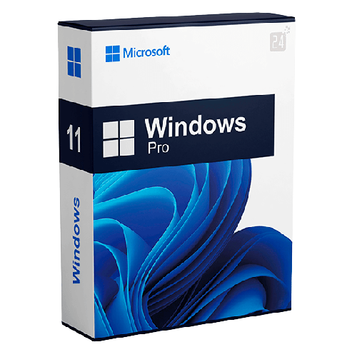 Windows 11 Professional (Min 2x)