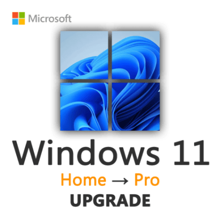 Windows 11 Professional (Min 2x)
