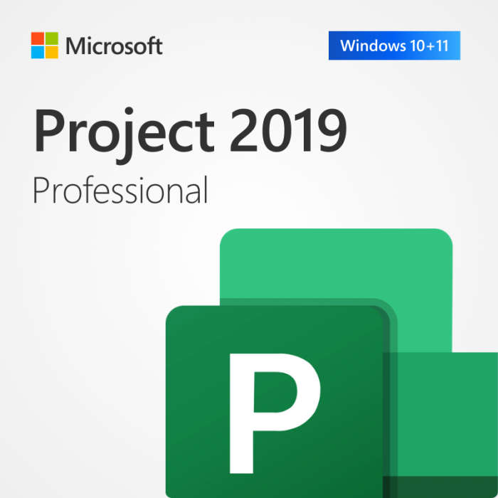 Microsoft Project 2019 Professional