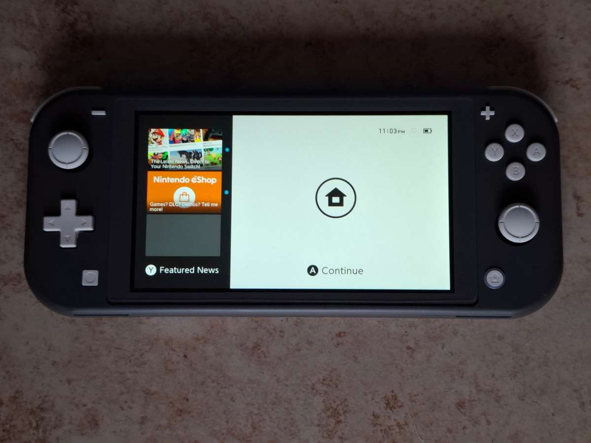 Nintendo Switch Lite (Grey)