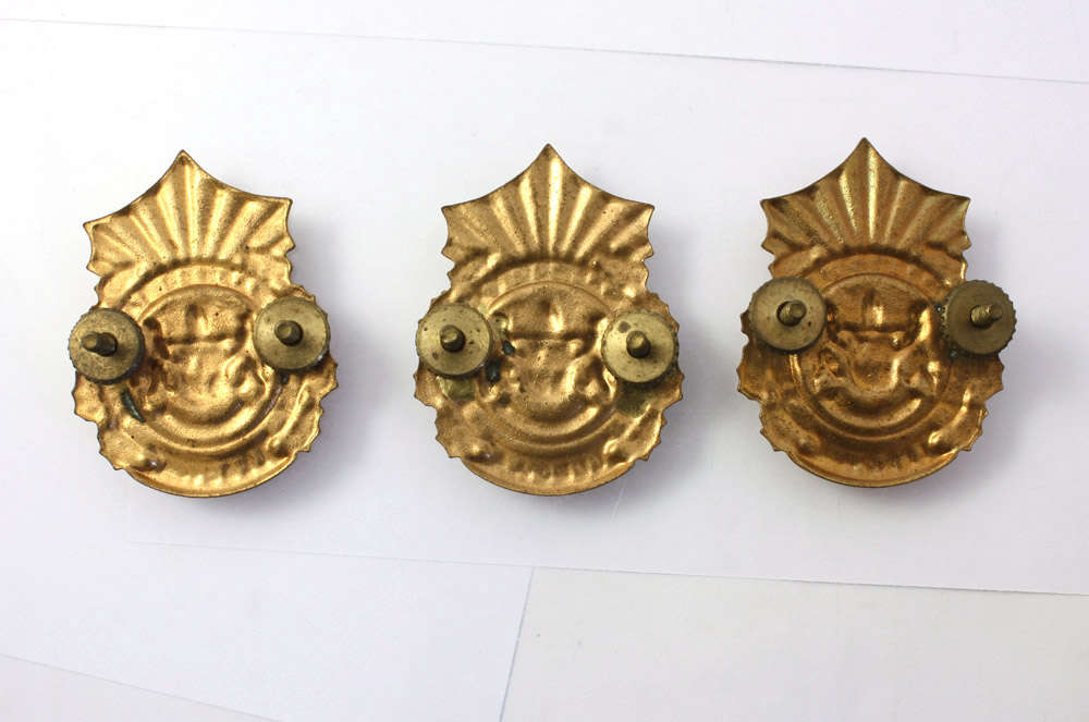 Lebowa Police Cap Badge x 3 - Homelands