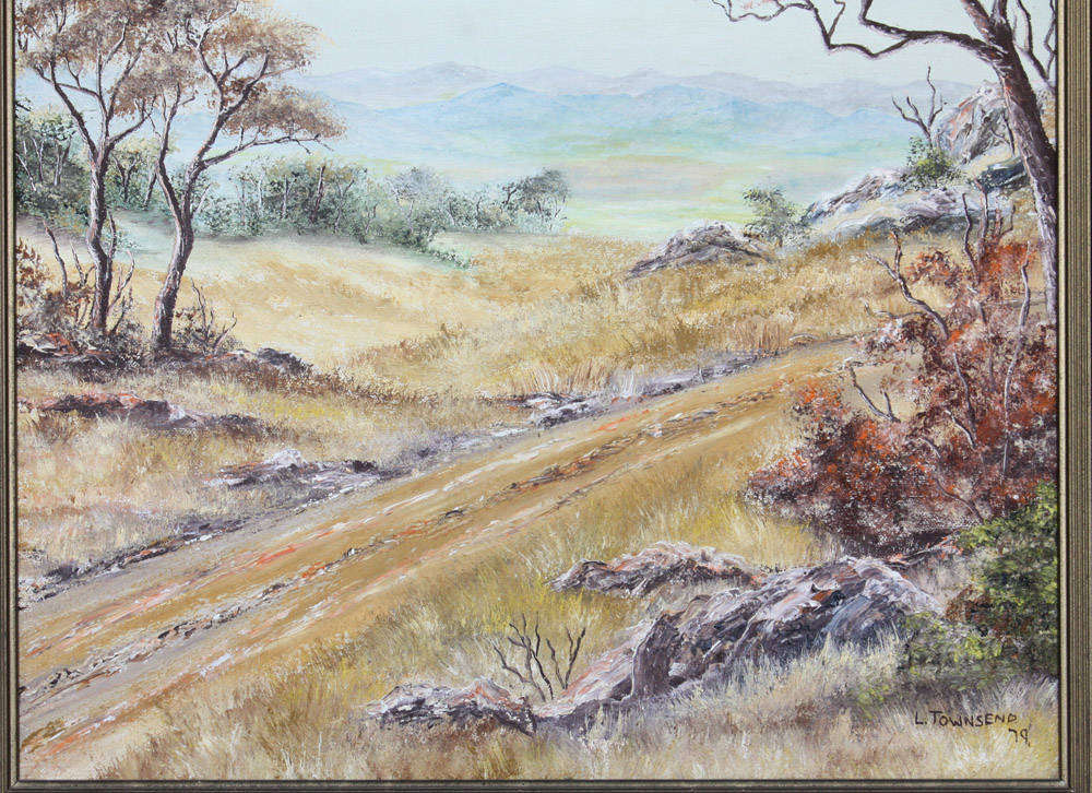 African Landscape Painting  - L. Townsend