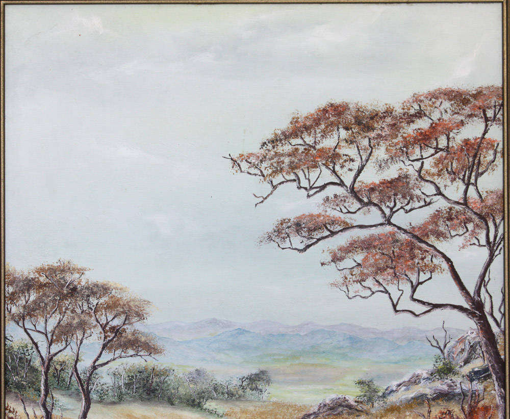 African Landscape Painting  - L. Townsend