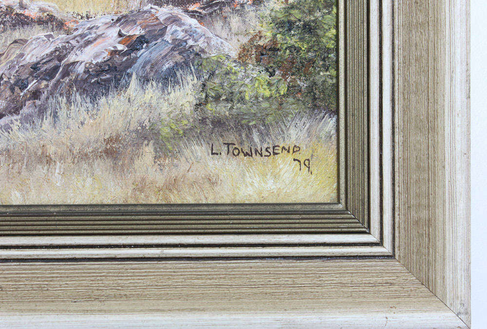 African Landscape Painting  - L. Townsend