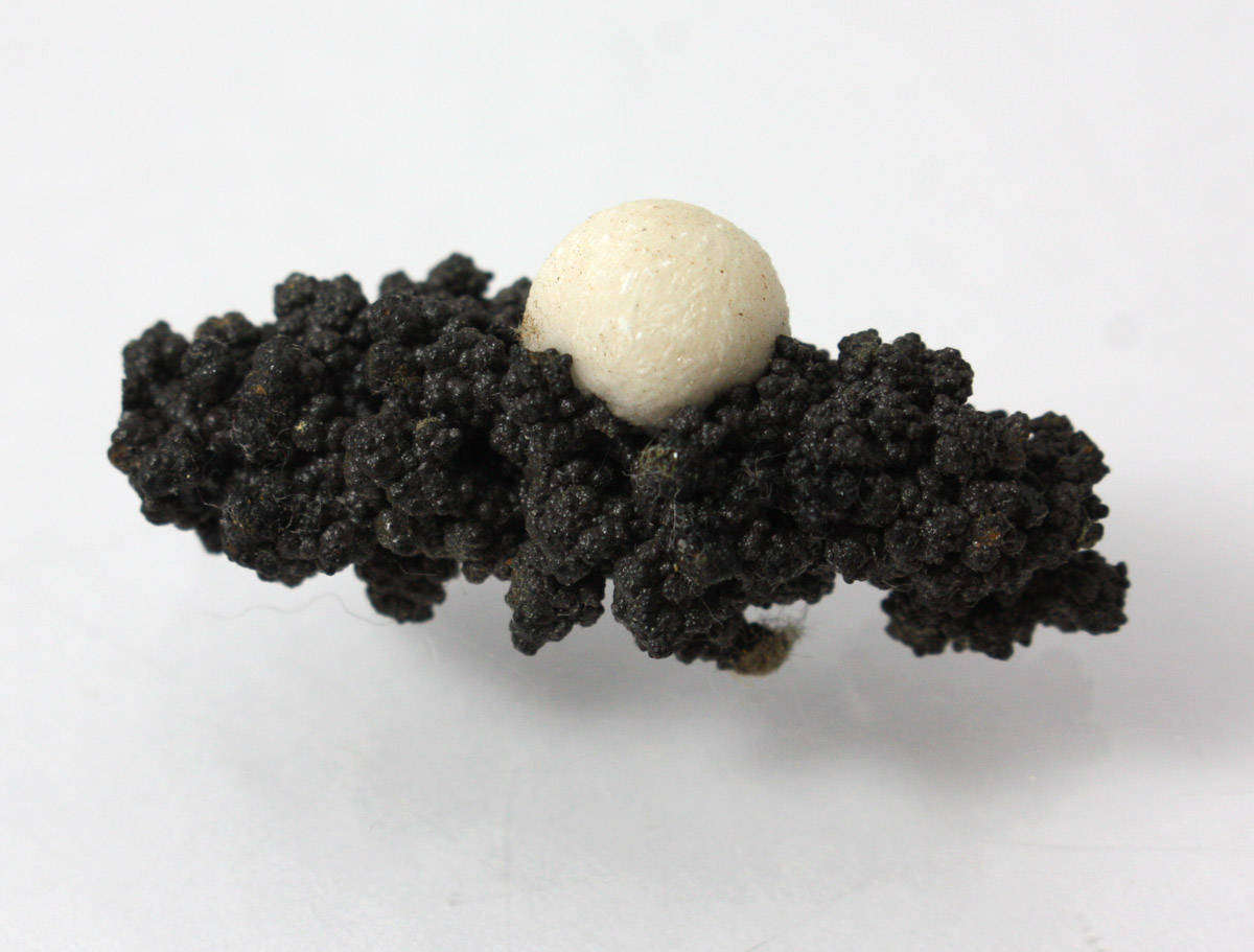 Aragonite and Goethite - Atties Mine, Western Cape, South Africa