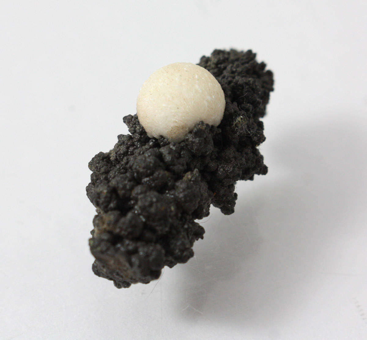 Aragonite and Goethite - Atties Mine, Western Cape, South Africa