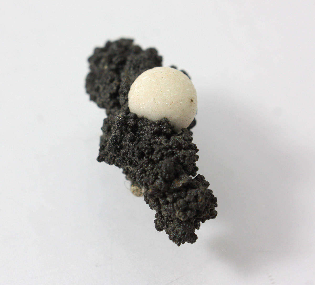 Aragonite and Goethite - Atties Mine, Western Cape, South Africa