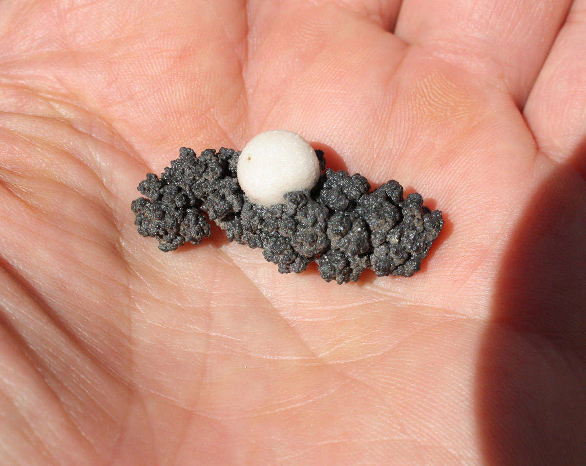 Aragonite and Goethite - Atties Mine, Western Cape, South Africa