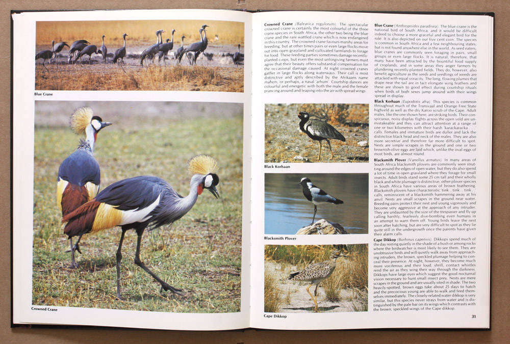 Everyone's Guide to South African Birds - Ian Sinclair and John Mendelsohn