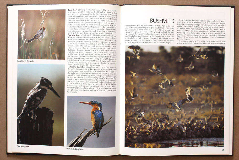 Everyone's Guide to South African Birds - Ian Sinclair and John Mendelsohn
