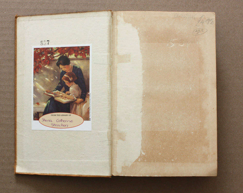 Rainbow Valley by L. M. Montgomery - Printed 1920 1st British Edition