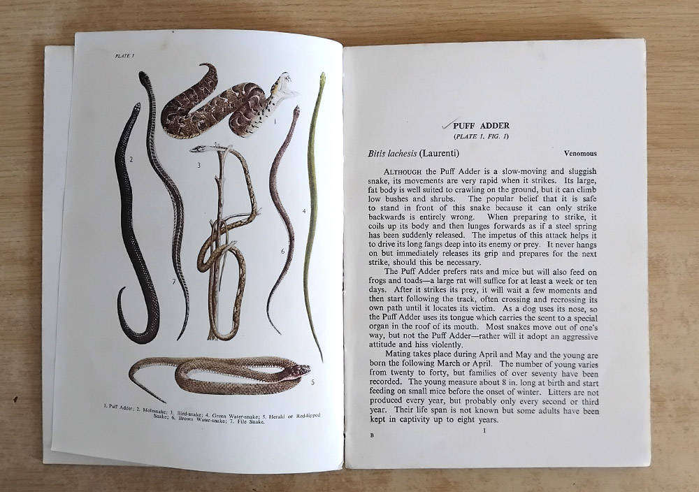 Common Snakes - Longman's Field Handbooks - J.A. Pringle - 1954