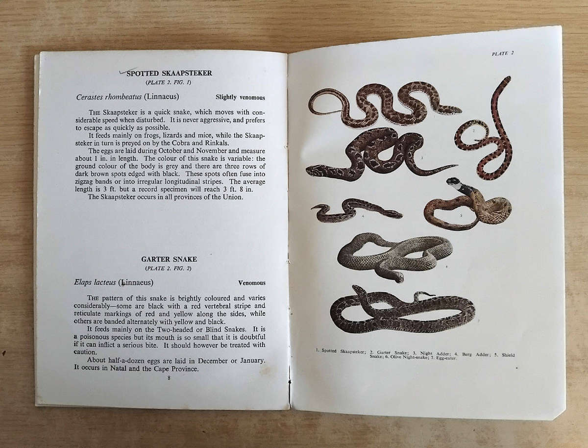 Common Snakes - Longman's Field Handbooks - J.A. Pringle - 1954