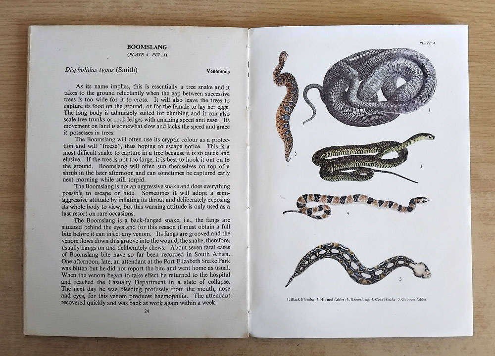 Common Snakes - Longman's Field Handbooks - J.A. Pringle - 1954