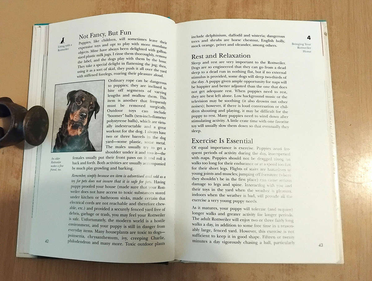 The Rottweiler - An owners guide to a happy healthy pet - Jean Forster