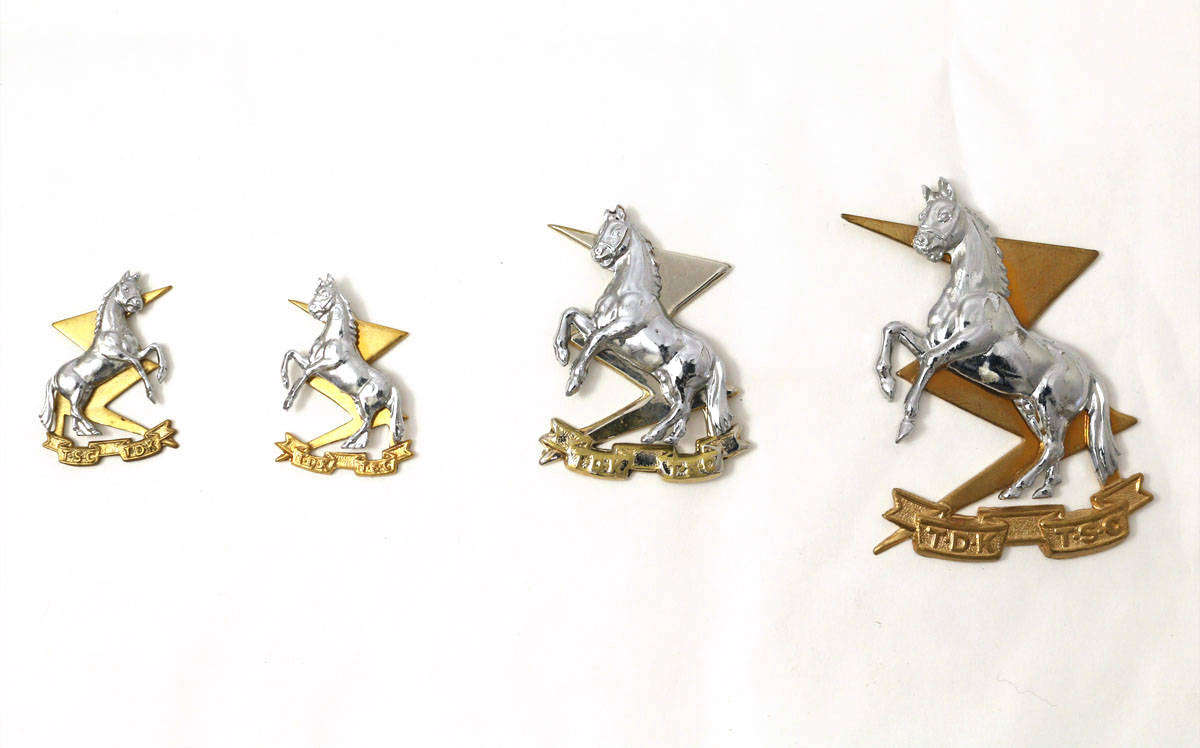 SADF Technical Service Corps Cap and collar Badges + Laynard