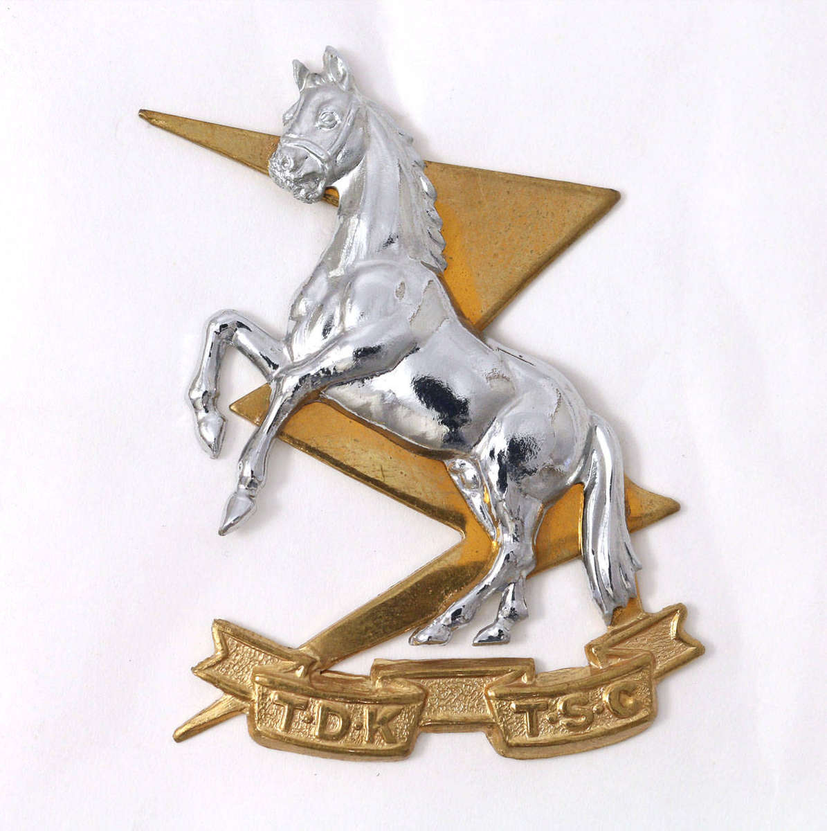 SADF Technical Service Corps Cap and collar Badges + Laynard