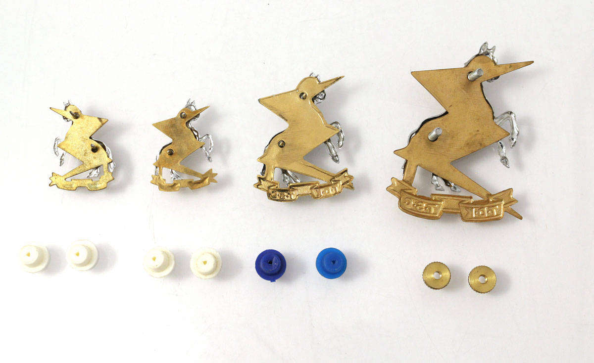 SADF Technical Service Corps Cap and collar Badges + Laynard