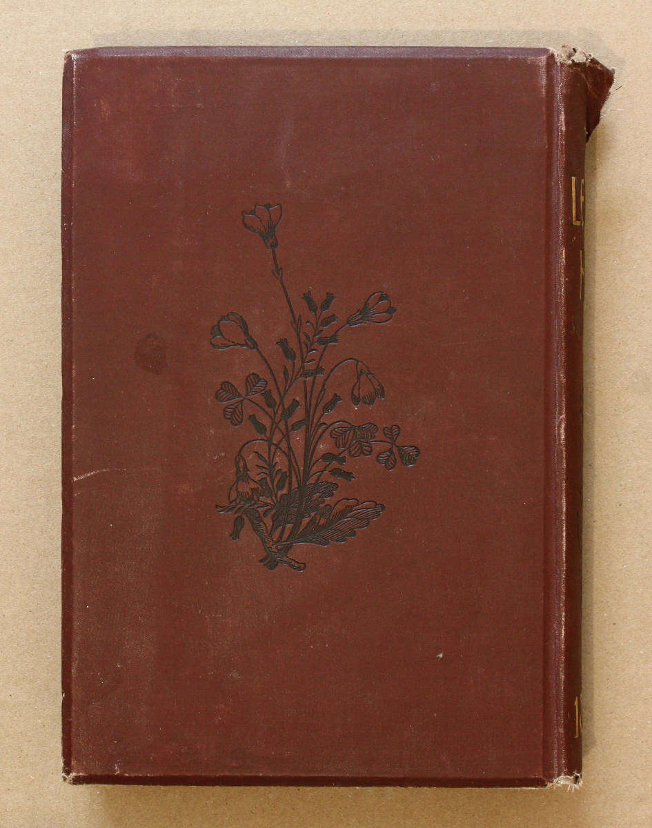 Victorian Periodical - The Leisure Hour (1893) - 132 years old!