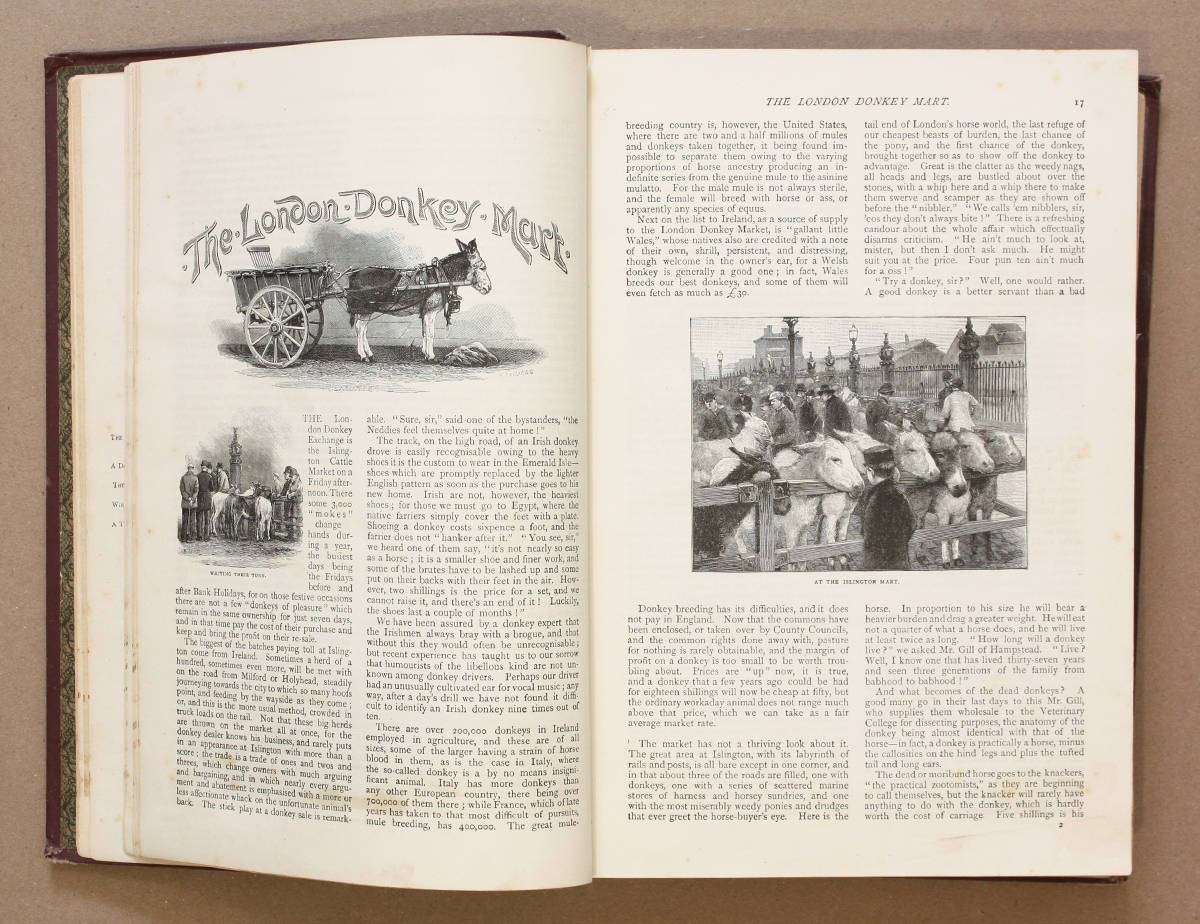 Victorian Periodical - The Leisure Hour (1893) - 132 years old!