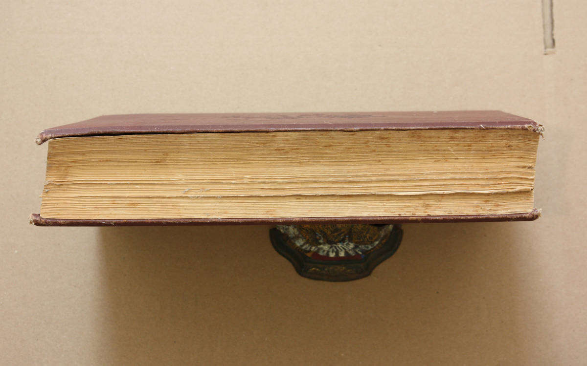 Victorian Periodical - The Leisure Hour (1893) - 132 years old!