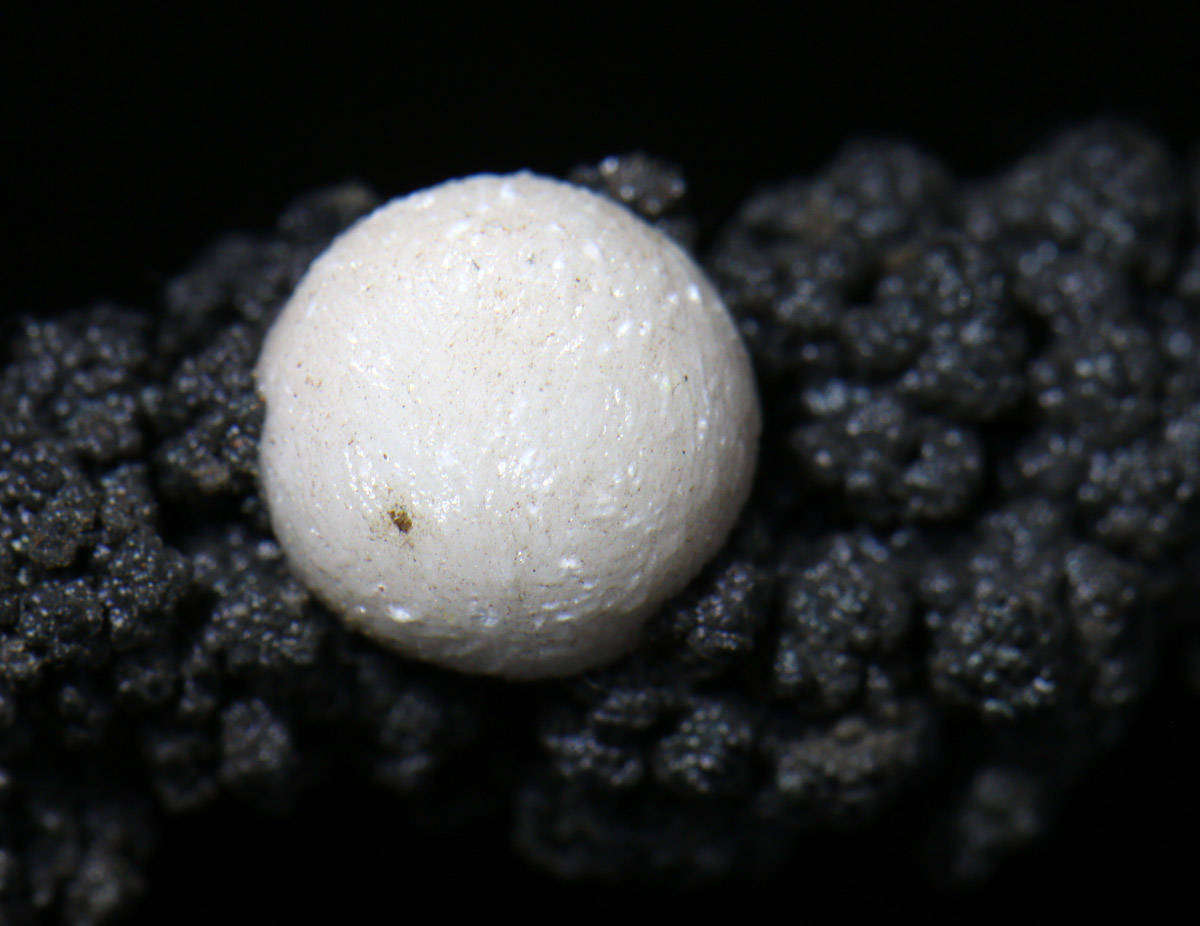 Aragonite and Goethite - Atties Mine, Western Cape, South Africa